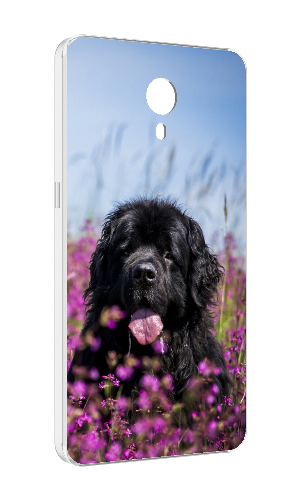 

Чехол MyPads ньюфаундлед для Meizu M3 Note, Прозрачный, Tocco