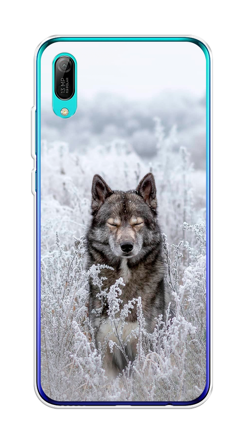 

Чехол Awog на Huawei Y6 Pro (Prime) 2019 "Волк в поле", Белый;черный, 68150-1