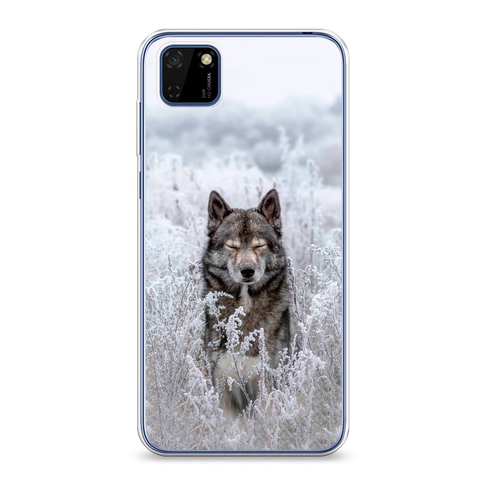 

Чехол Awog на Huawei Y5p "Волк в поле", Белый;черный, 6103750-1