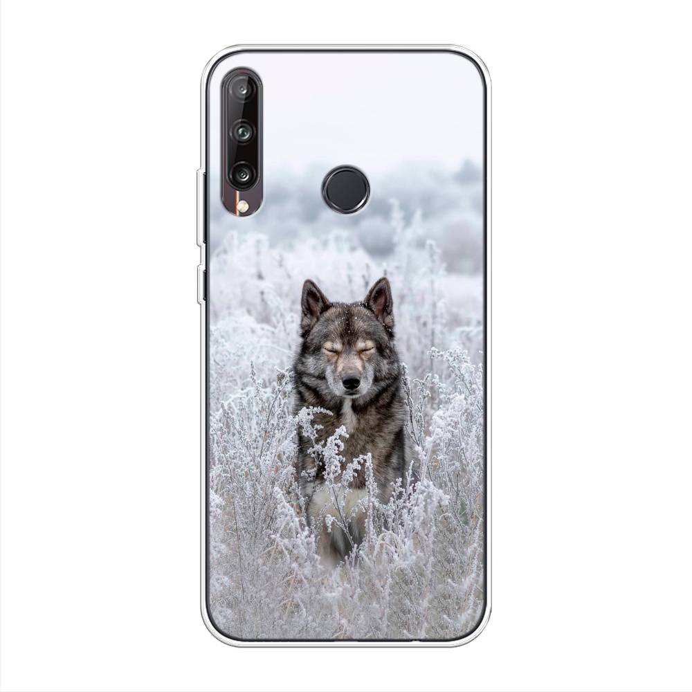 фото Чехол awog "волк в поле" для huawei p40 lite e