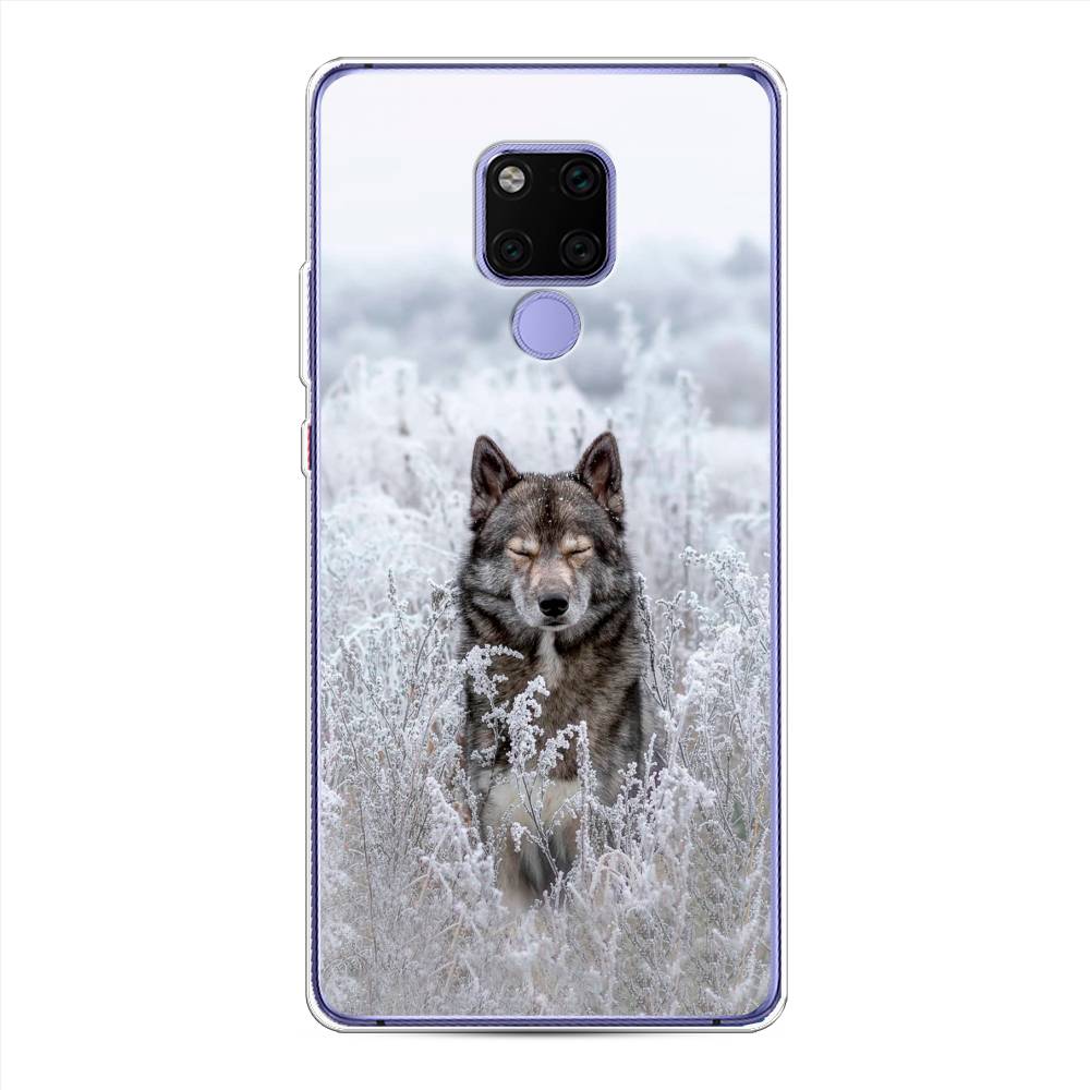 Чехол Awog  на Huawei Mate 20X 