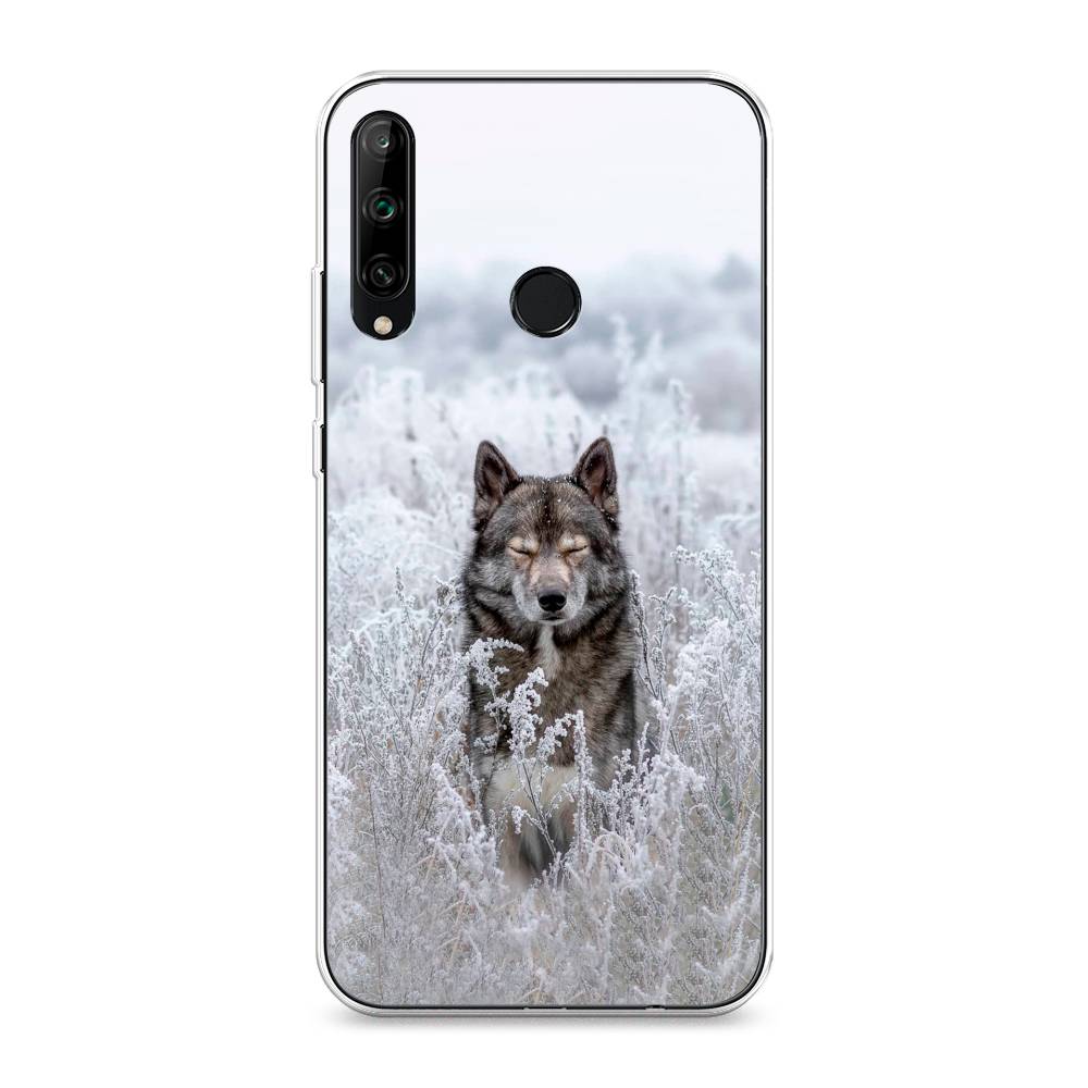 

Чехол Awog на Honor 9C "Волк в поле", Белый;черный, 612550-1