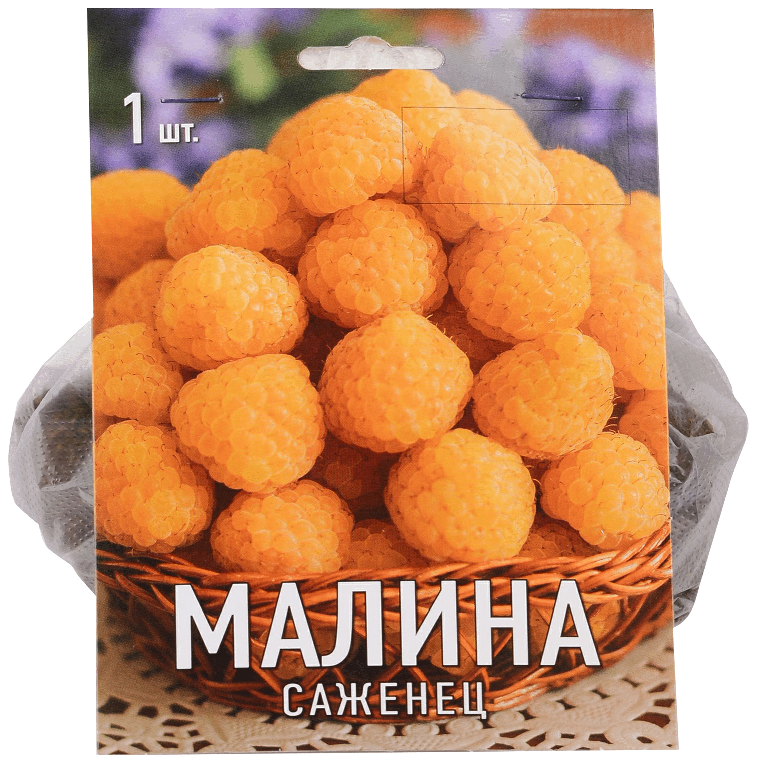 

Малина желтая Поиск