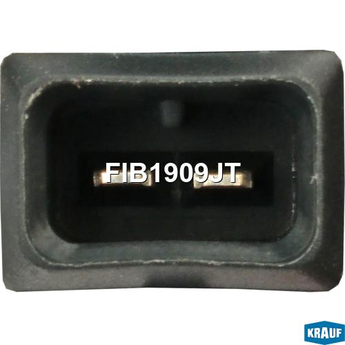 

Форсунка бензиновая Krauf fib1909jt