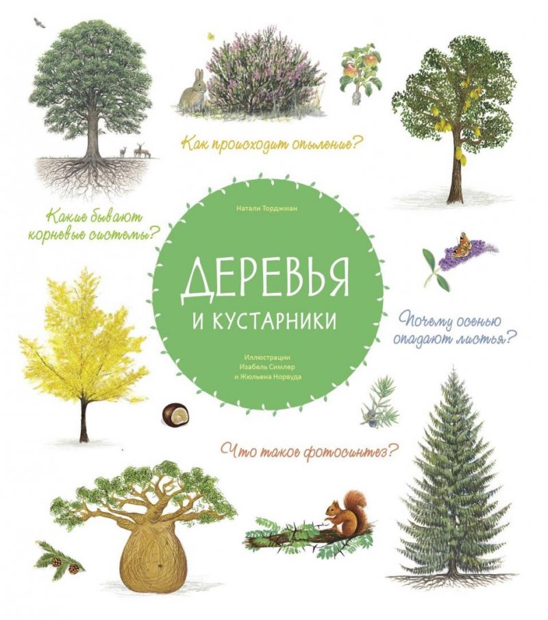 фото Книга деревья и кустарники стрекоза