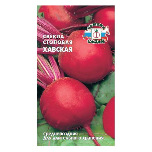

Семена свекла Хавская СеДеК 65062