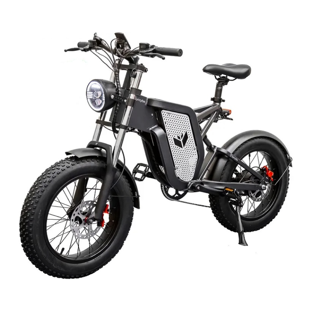 Электровелосипед Syccyba IMPULSE 1000W 30AH спицы 13870000₽