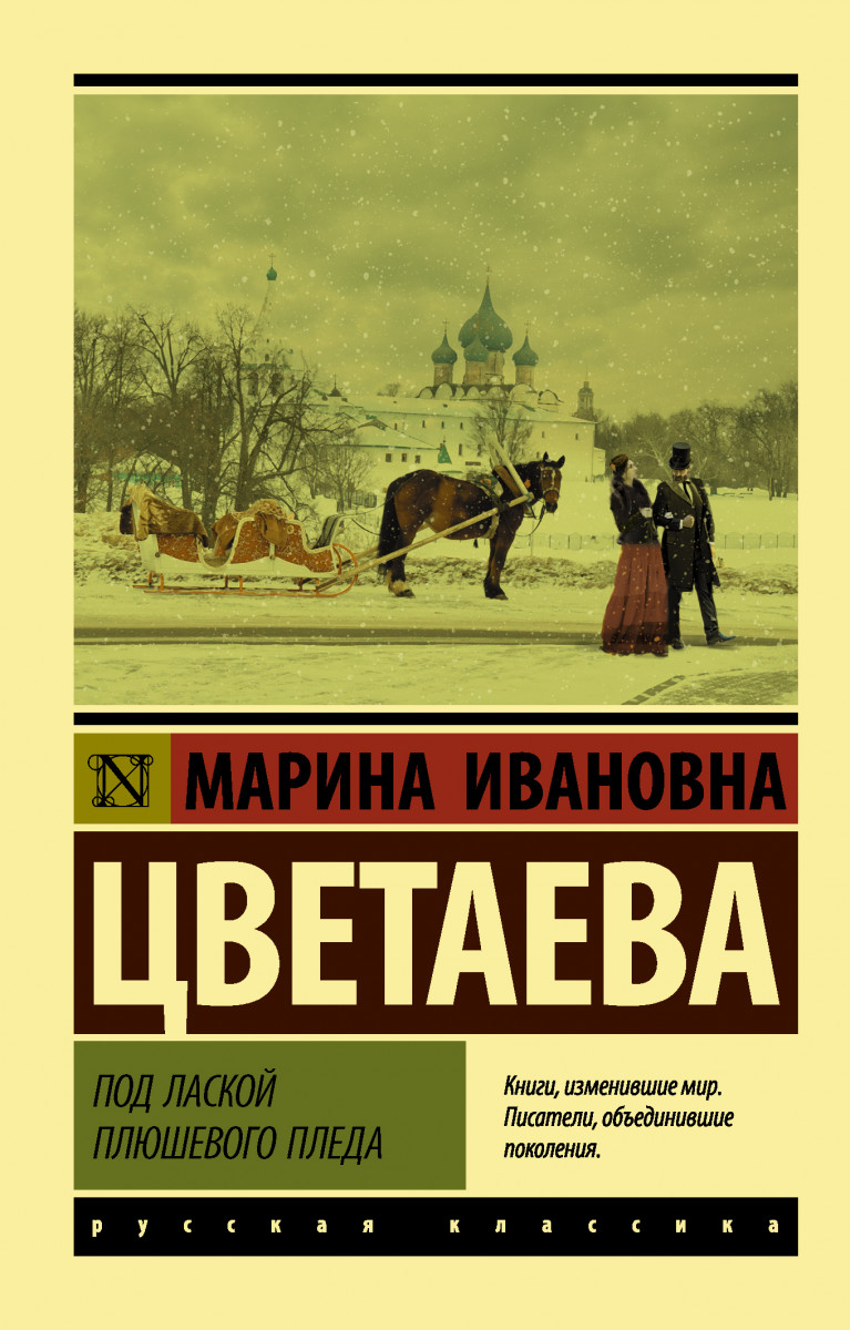 фото Книга под лаской плюшевого пледа стрекоза