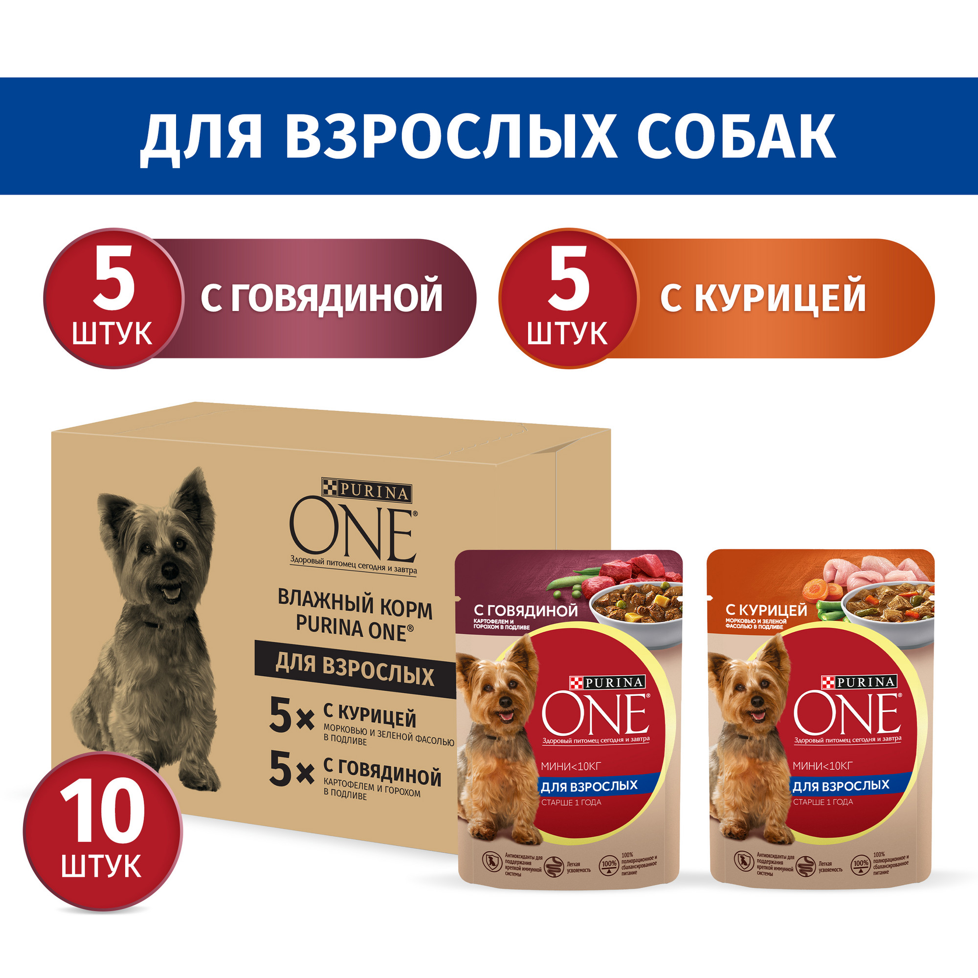 Влажный корм для собак Purina ONE, с курицей 5 шт по 85 г, с говядиной 5 шт по 85 г