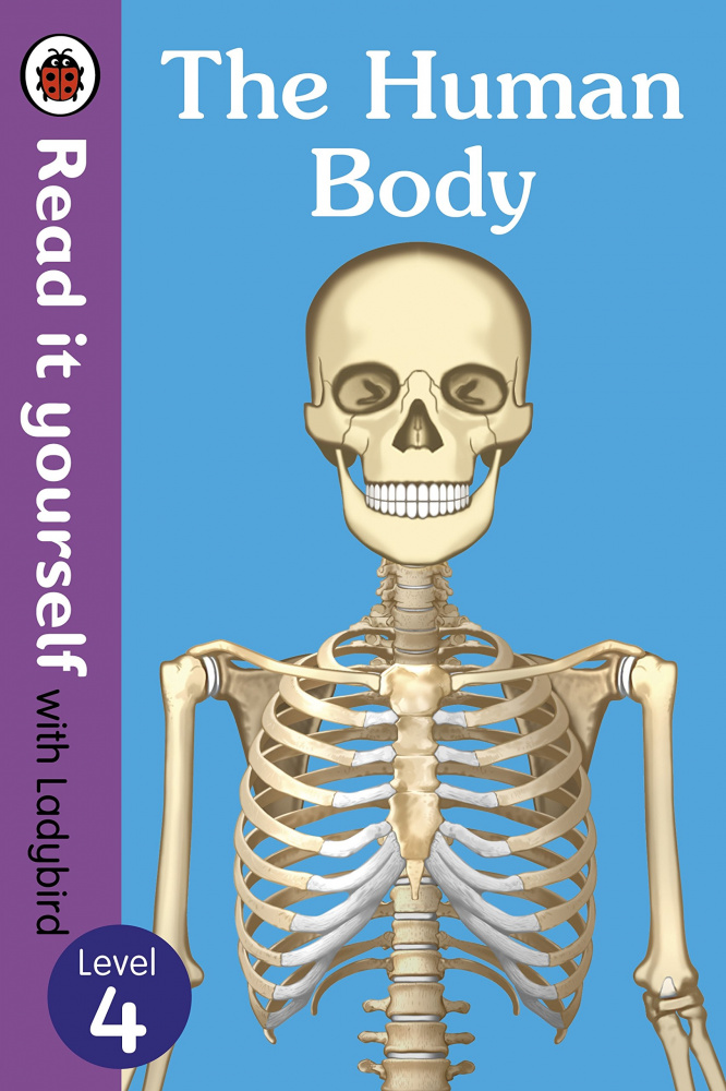 

Книга Ladybird: The Human Body (HB)