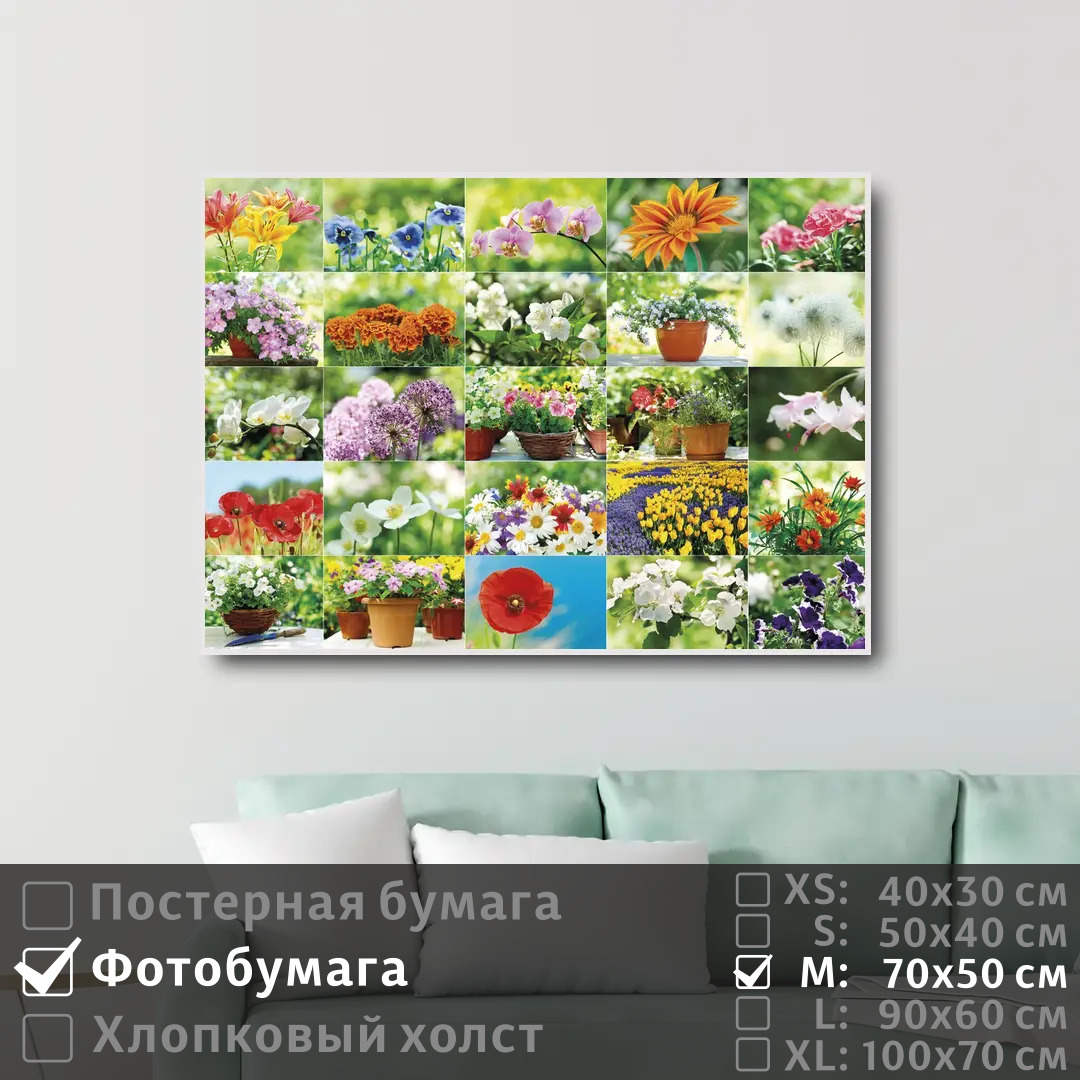 

Постер на фотобумаге ПолиЦентр Коллаж из красивых цветов 70х50 см, КоллажИзКрасивыхЦветов