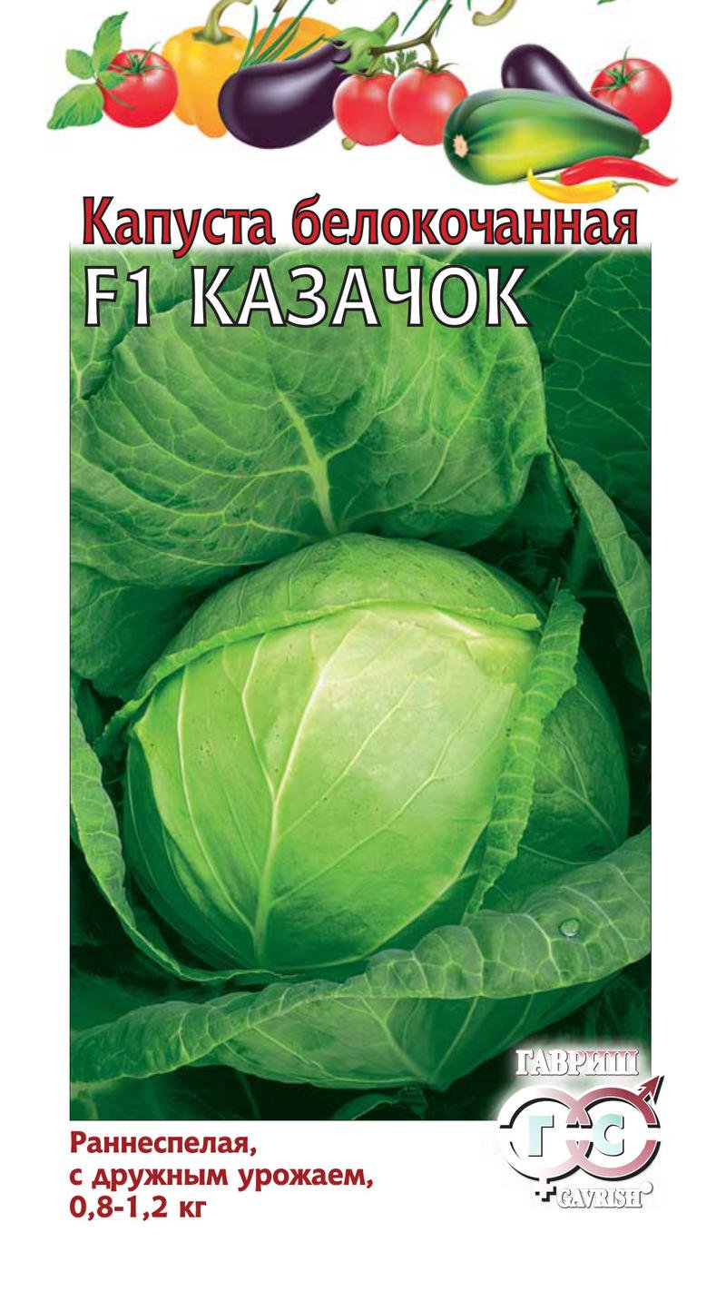 

Семена. Капуста белокочанная "Казачок F1" (вес: 25,0 г)