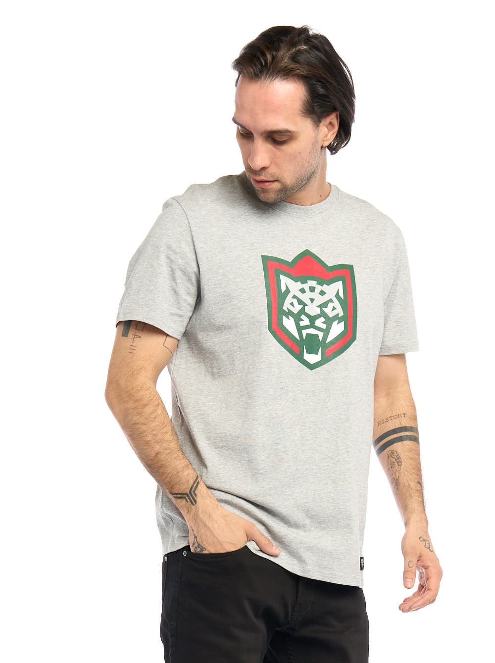 

Футболка мужская Atributika&Club Ак Барс 32160 серая L, Серый, Ак Барс 32160
