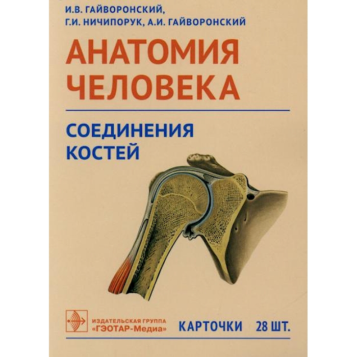 

Анатомия человека. Соединения костей. Карточки: наглядное учебное пособие
