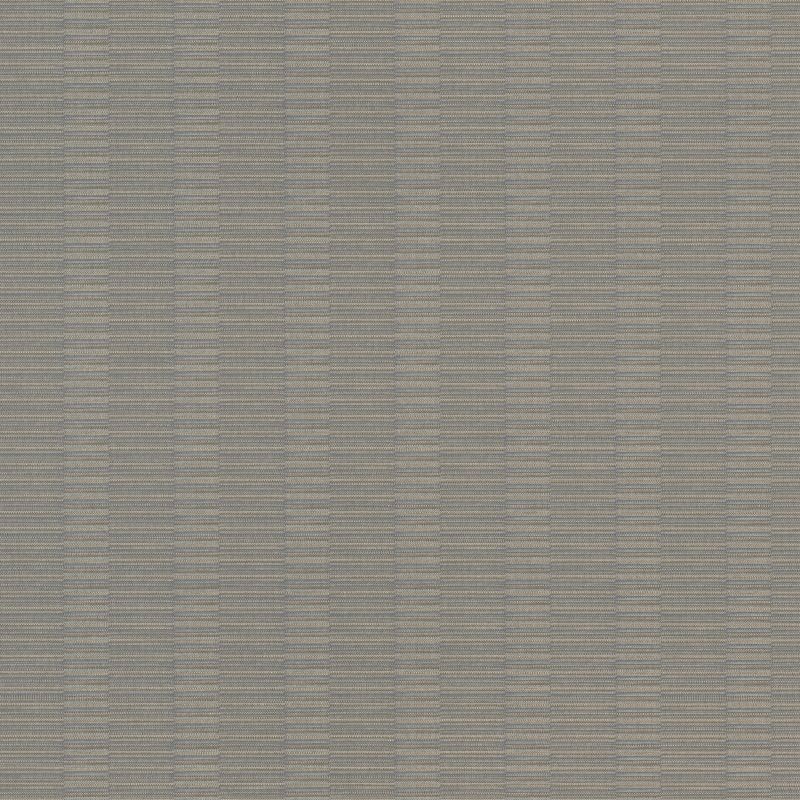 

Rasch Axiom 960945