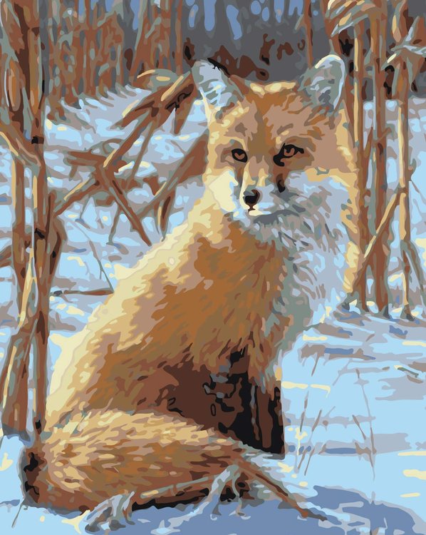 

Картина по номерам Живопись по Номерам Лисичка, 40x50, Лисичка