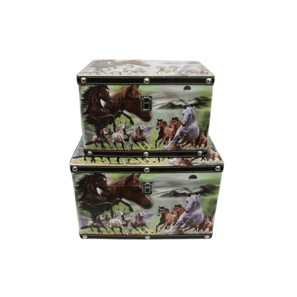 

Сундук BuyHouse SM-50895 серый