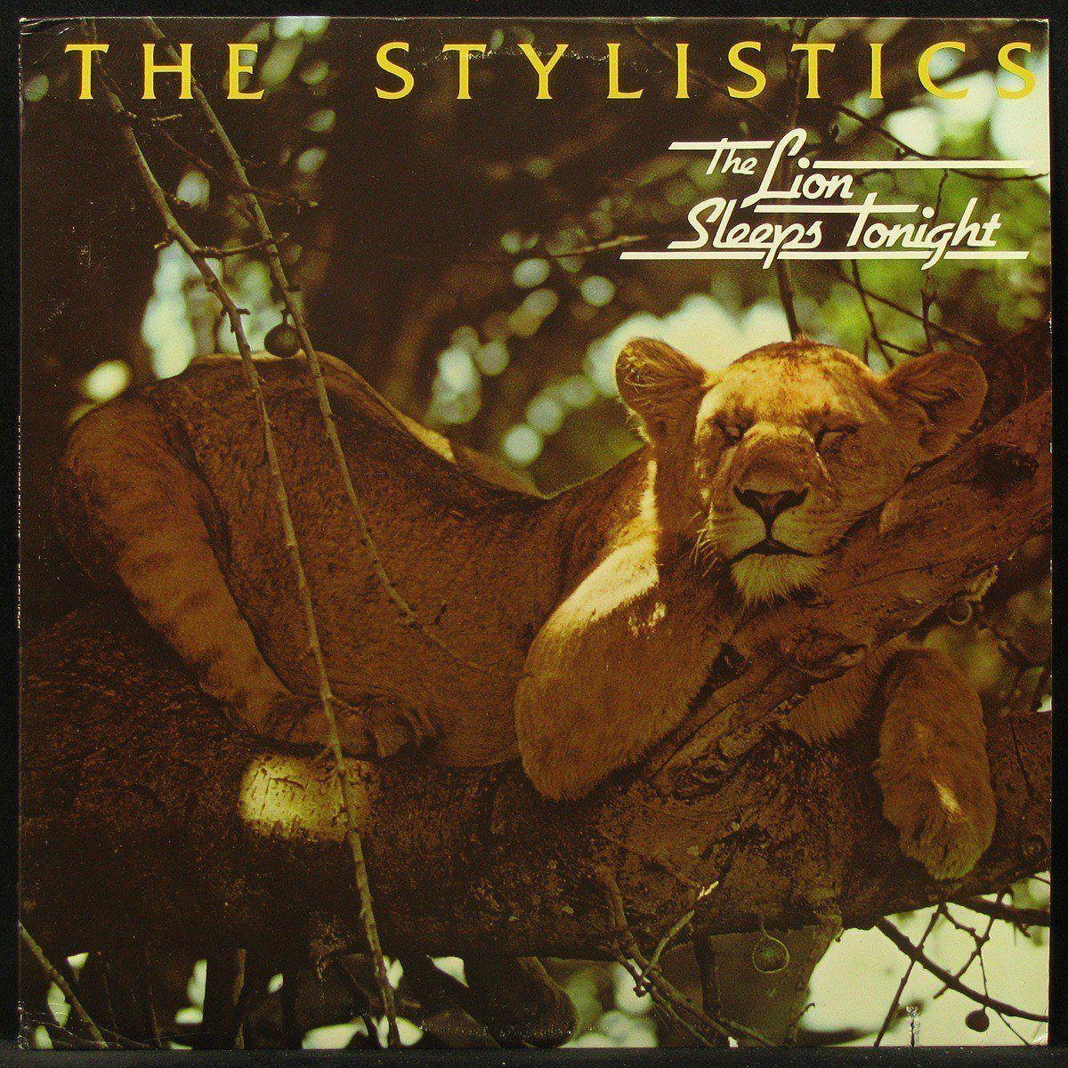 LP Stylistics - Lion Sleeps Tonight Dash (302203)
