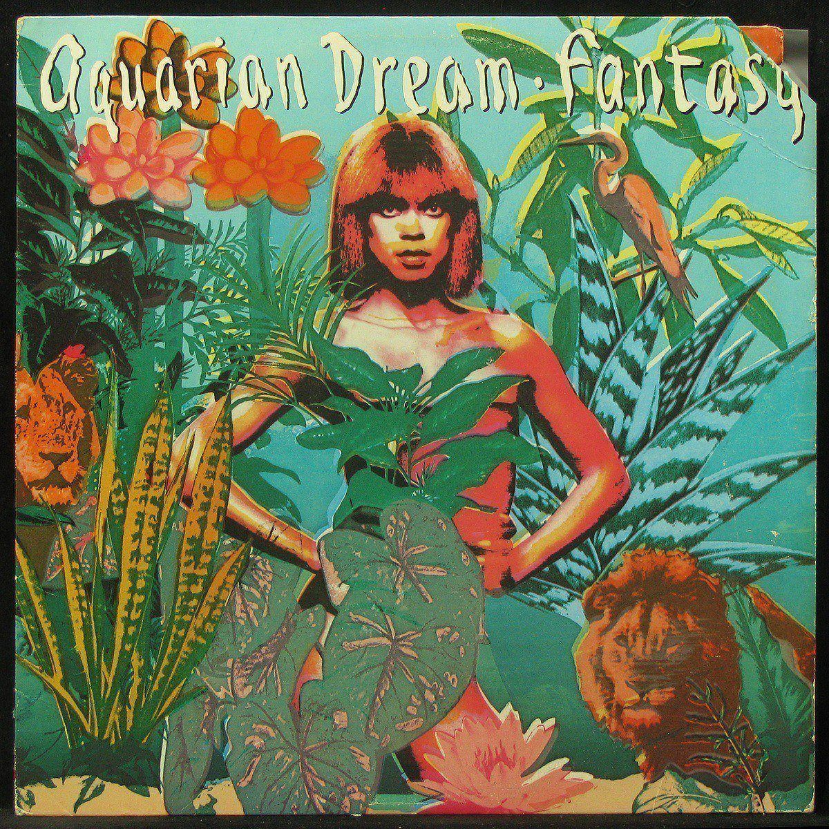 

LP Aquarian Dream - Fantasy Elektra (302198)