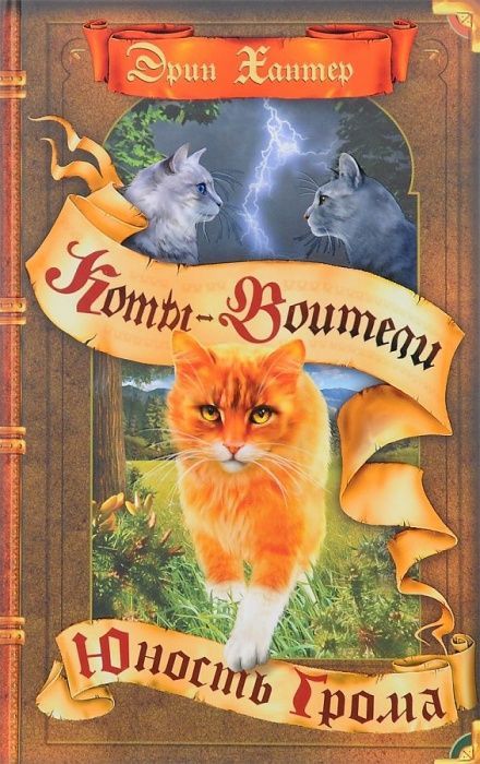 

Коты-воители.Начало племен.Юность Грома