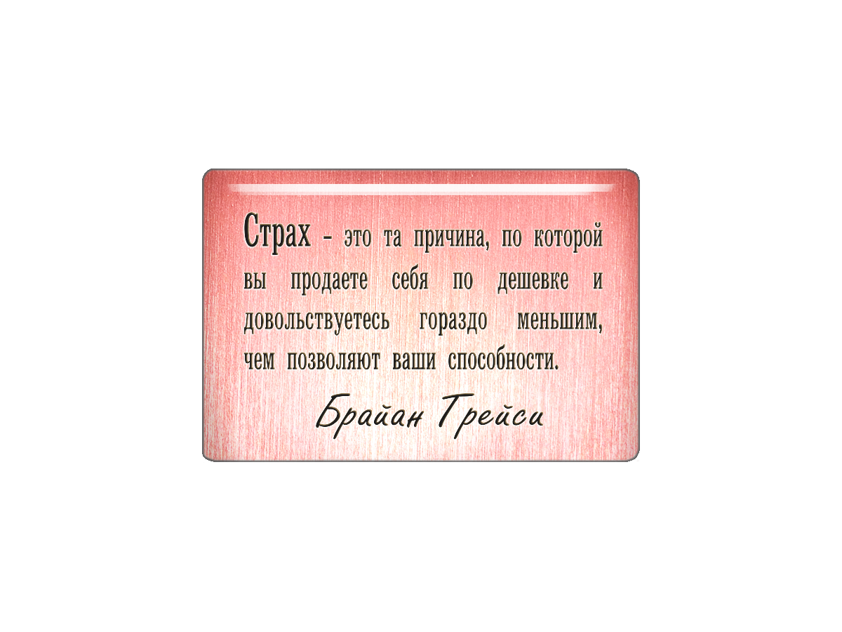 

Магнит Страх - это та причина, по которой вы продаете себя по дешевке и довольствуетесь г, Т18.292.01.00