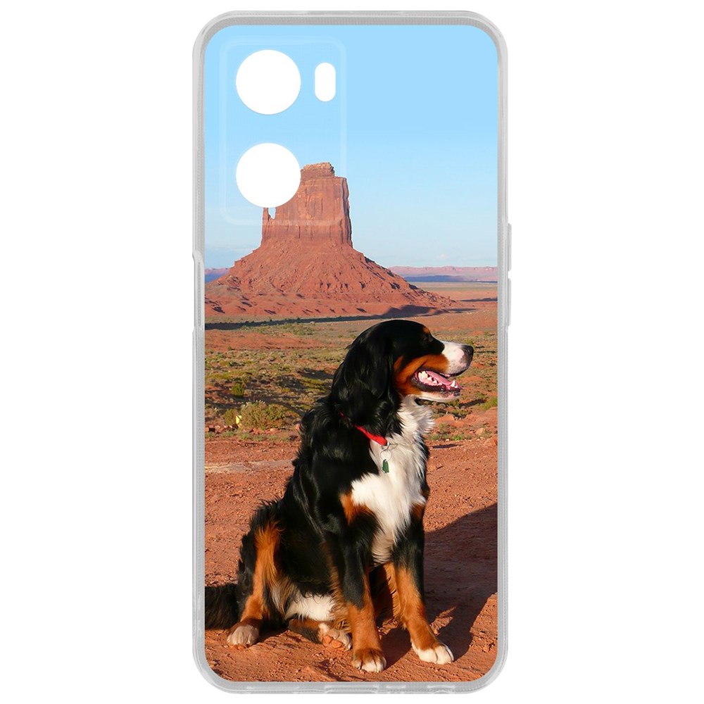 

Чехол Бернская овчарка для Oppo A57s, Прозрачный