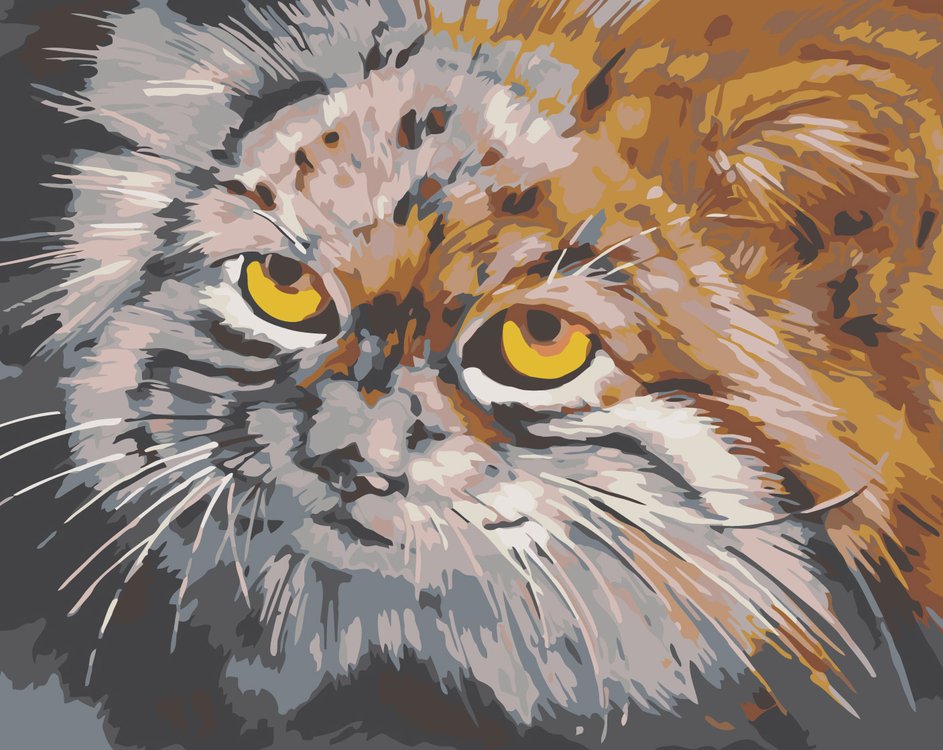 

Картина по номерам Живопись по Номерам Манул, 40x50, Манул