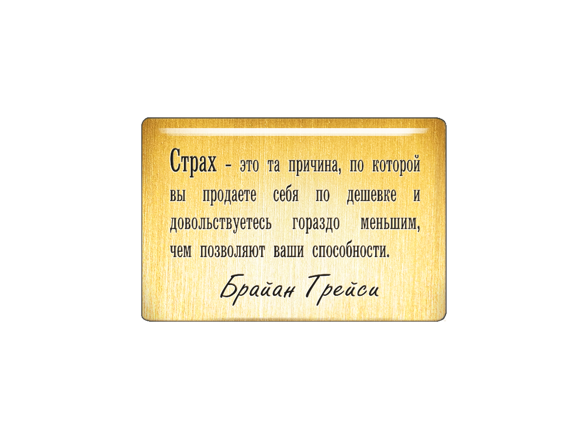 Магнит Страх - это та причина, по которой вы продаете себя по дешевке и довольствуетесь г