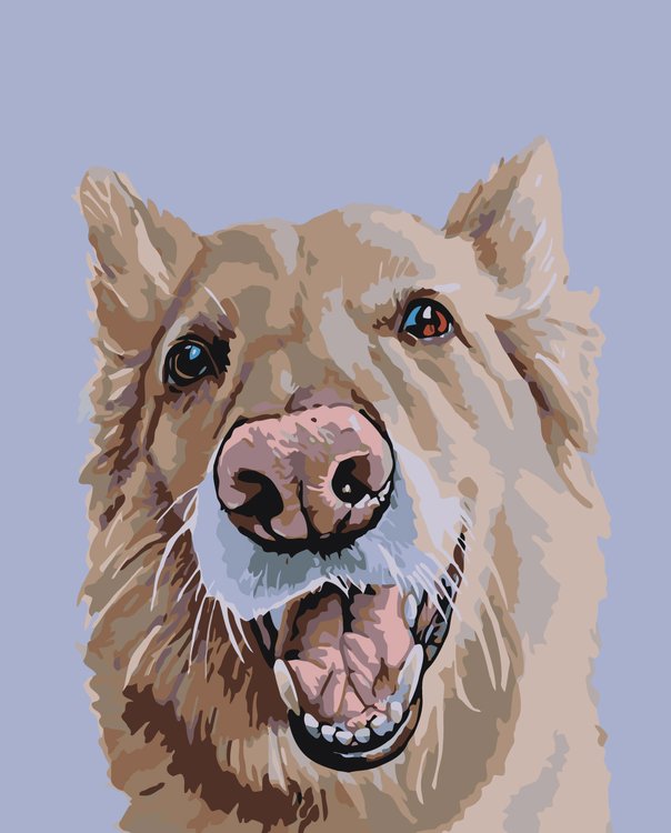 

Картина по номерам Живопись по Номерам Джеймсон, 40x50, Джеймсон