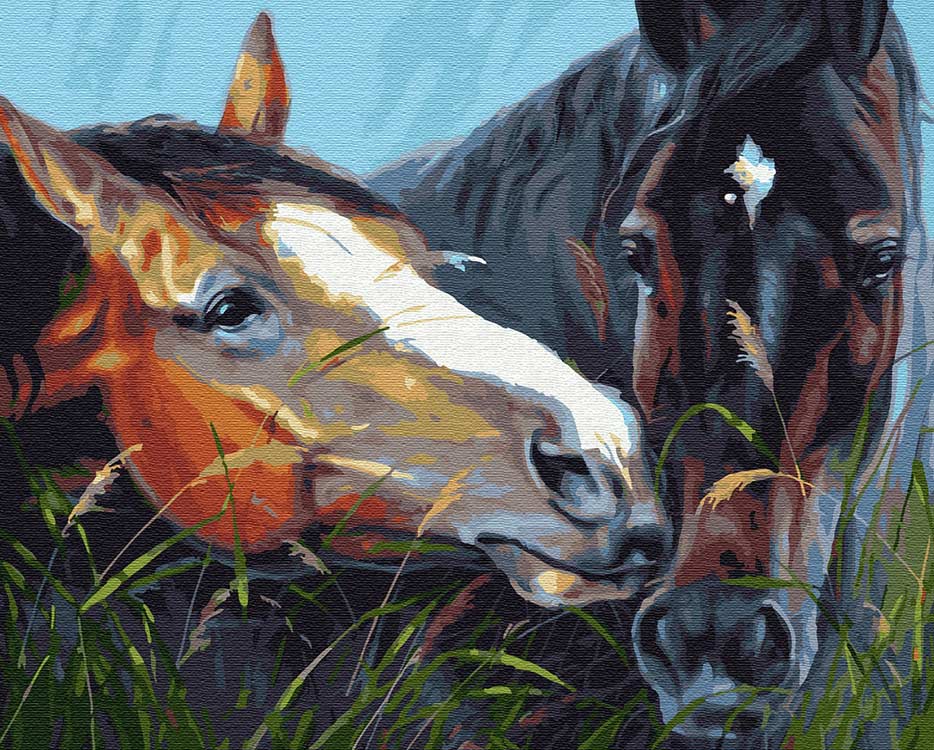 

Картина по номерам Molly С любовью, 40x50, С любовью