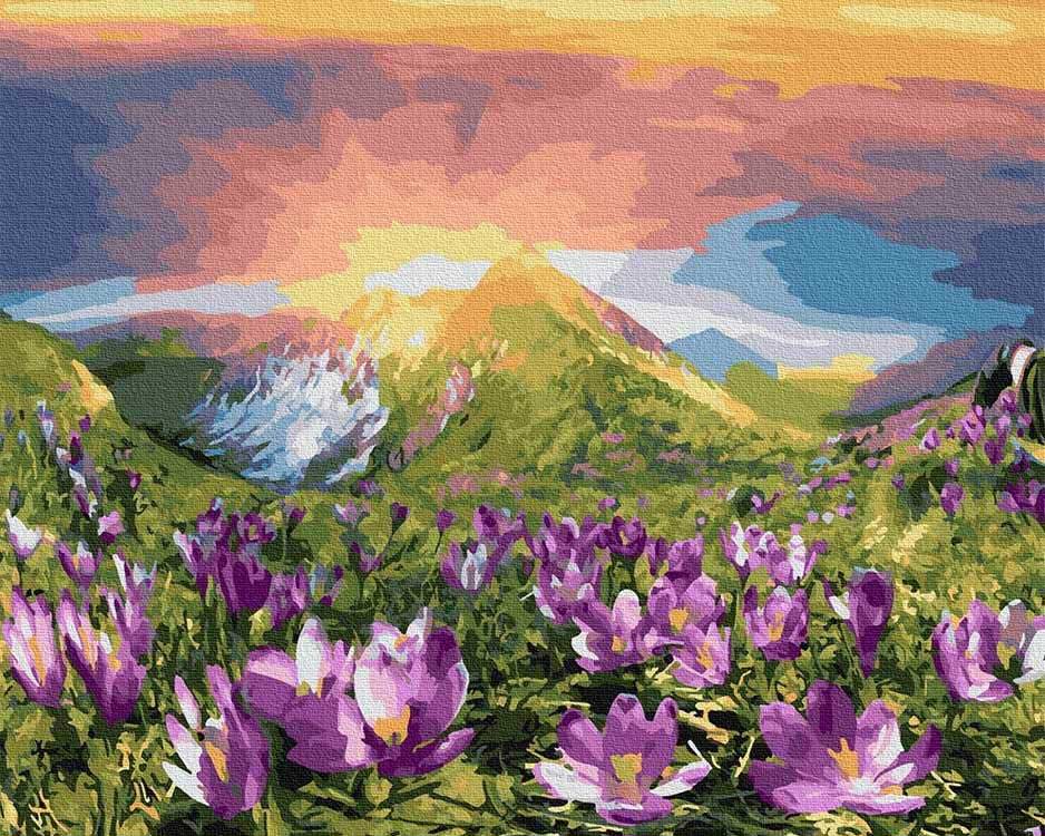 

Картина по номерам Molly Восход, 40x50, Восход