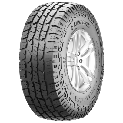 Шины 265/65 R17 Austone SP-308 112T