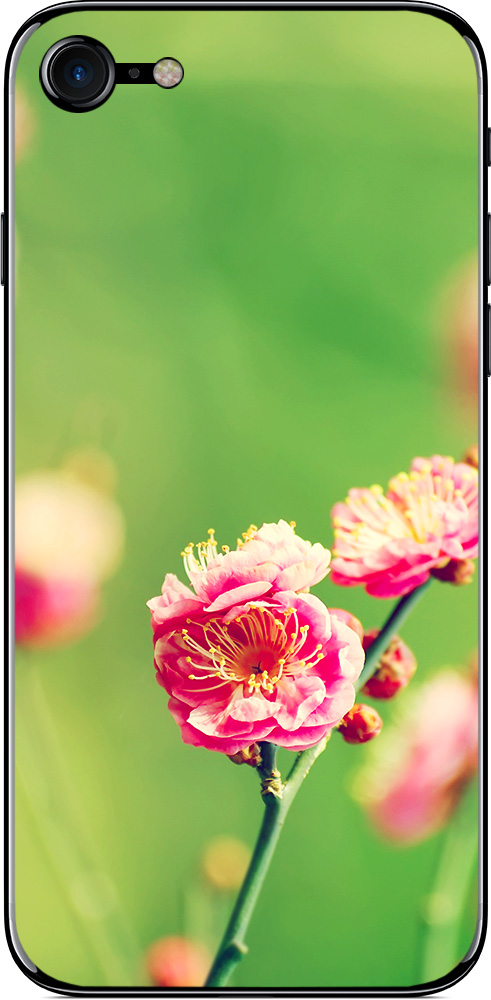 

Наклейка виниловая GSMIN для iPhone 7 (Дизайн 72)