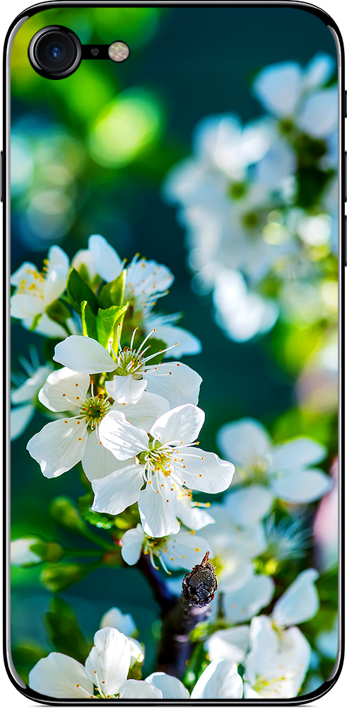 

Наклейка виниловая GSMIN для iPhone 7 (Дизайн 42)