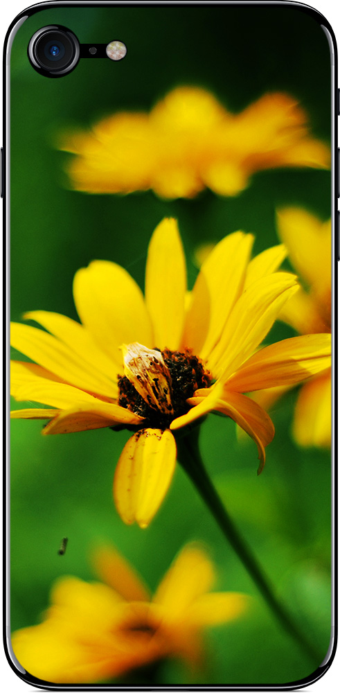 

Наклейка виниловая GSMIN для iPhone 7 (Дизайн 179)
