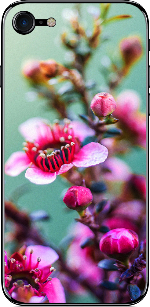 

Наклейка виниловая GSMIN для iPhone 7 (Дизайн 166)
