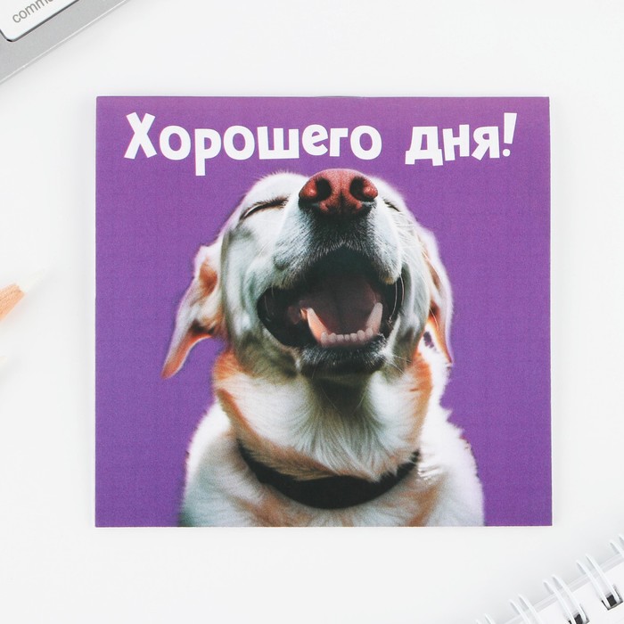 

Блокнот ArtFox 9779070, 16 листов, 10х10 см, МИКС, "Животные", 32 штуки