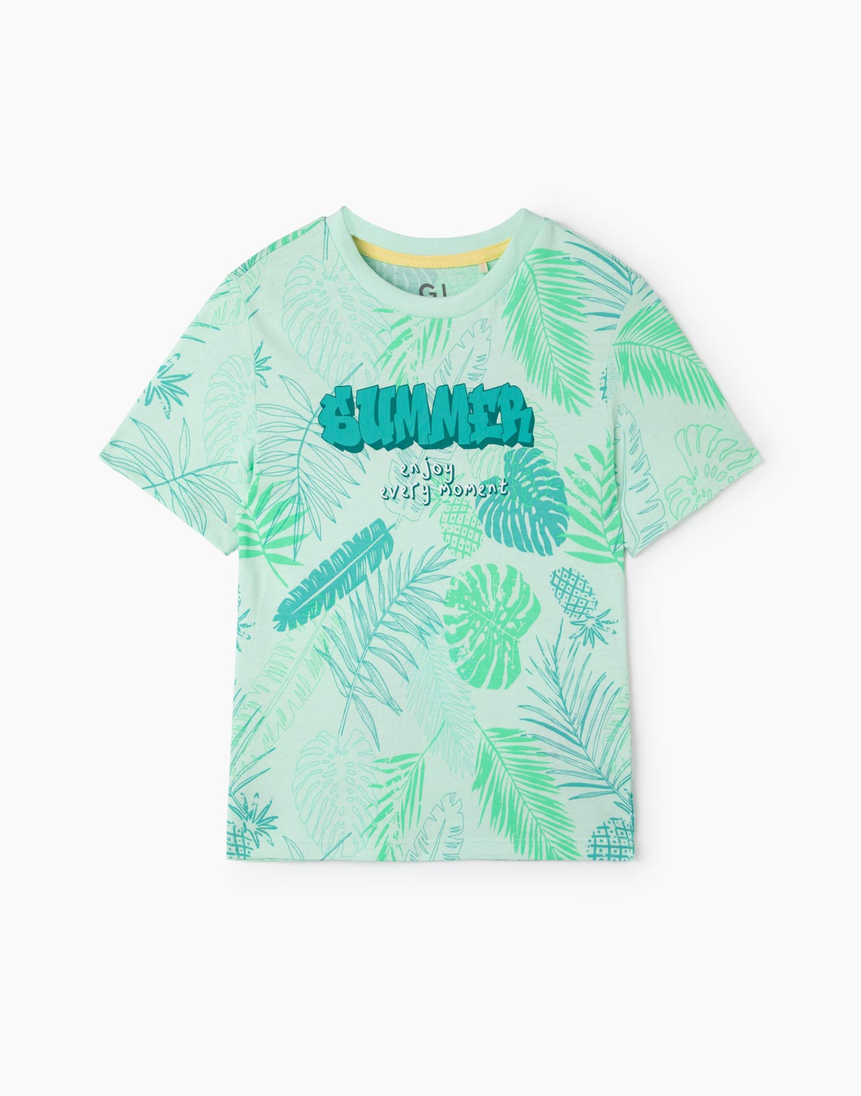 

Мятная футболка с принтом Summer для мальчика 2-3г/98, Зеленый, BKT012298