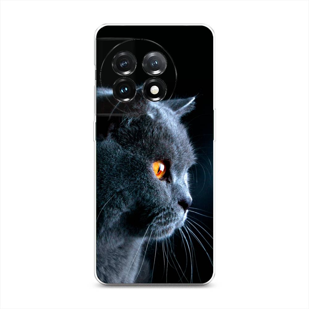 

Чехол Awog на OnePlus 11 "Благородный кот британец", Черный;серый;оранжевый, 153650-2