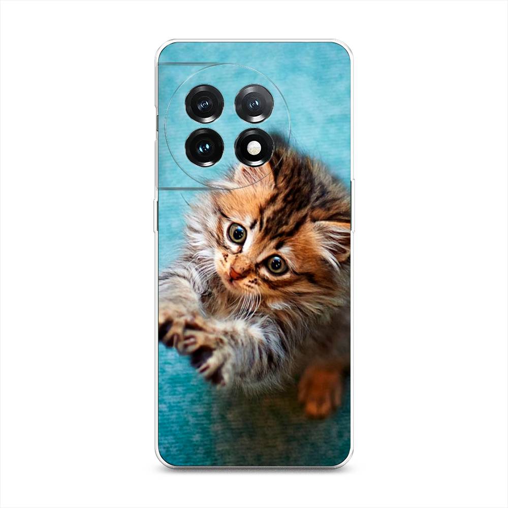 

Чехол Awog на OnePlus 11 "Котенок просит есть", Голубой;коричневый;белый, 153650-2