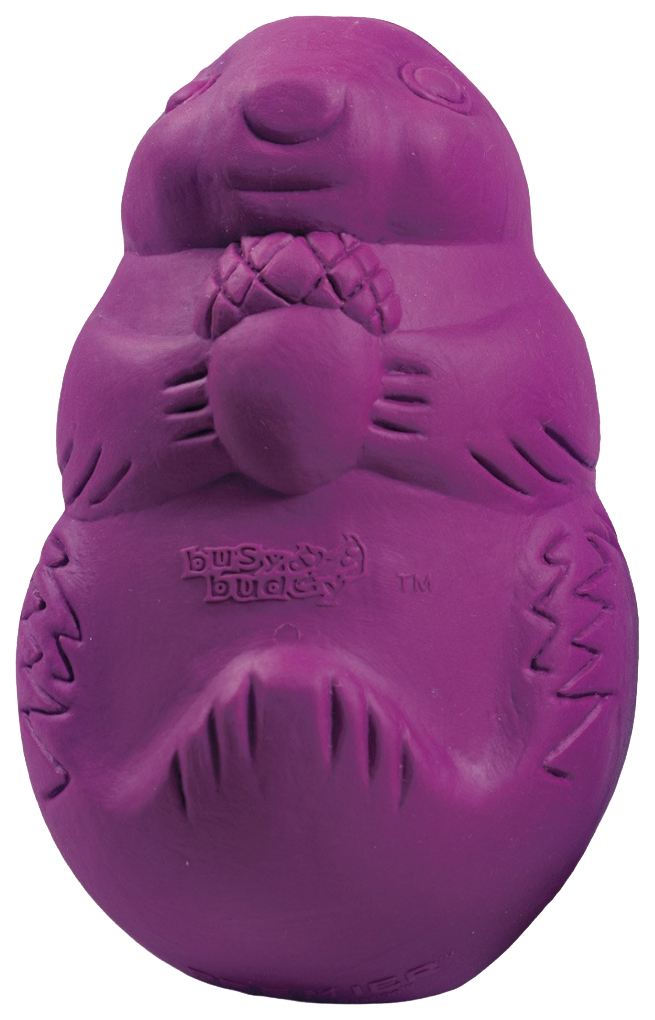 

Игрушка PetSafe Busy Buddy Белка для собак L: 14 х9 см
