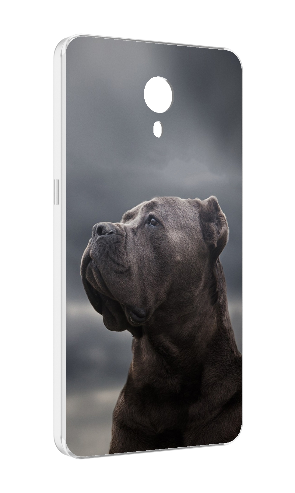 

Чехол MyPads кане корсо для Meizu M3 Note, Прозрачный, Tocco