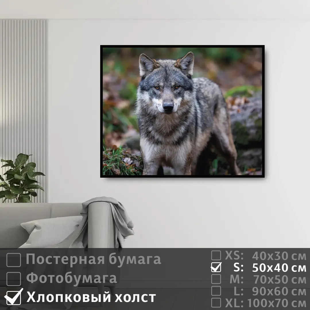 

Постер на холсте ПолиЦентр Хищный волк 50х40 см, ХищныйВолк