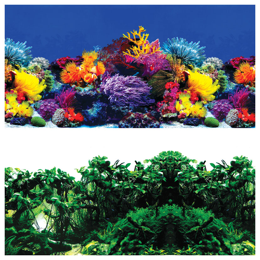 Фон Laguna Обитатели рифа Джунгли для акариумов 50 х100 см