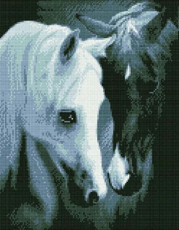 

Алмазная вышивка Painting Diamond «Черное и белое»