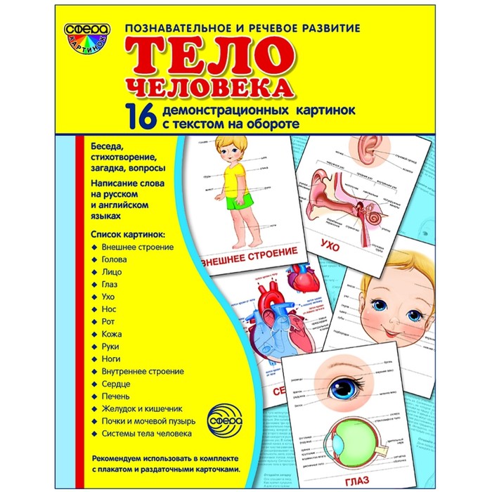 

Демонстрационные картинки. Тело человека. 16 демонстрационных картинок с текстом. 174х220, Позновательно-речевое развитие