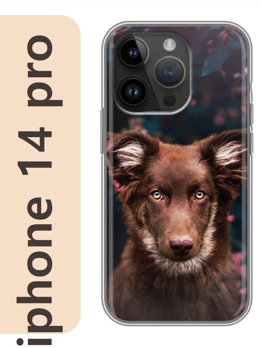 

Чехол на Apple Iphone 14 pro пес шоколадный 835, Прозрачный, Iphp14dogs
