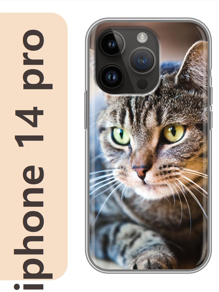 

Чехол на Apple Iphone 14 pro кот полосатый 800, Прозрачный, Iphp14cat2