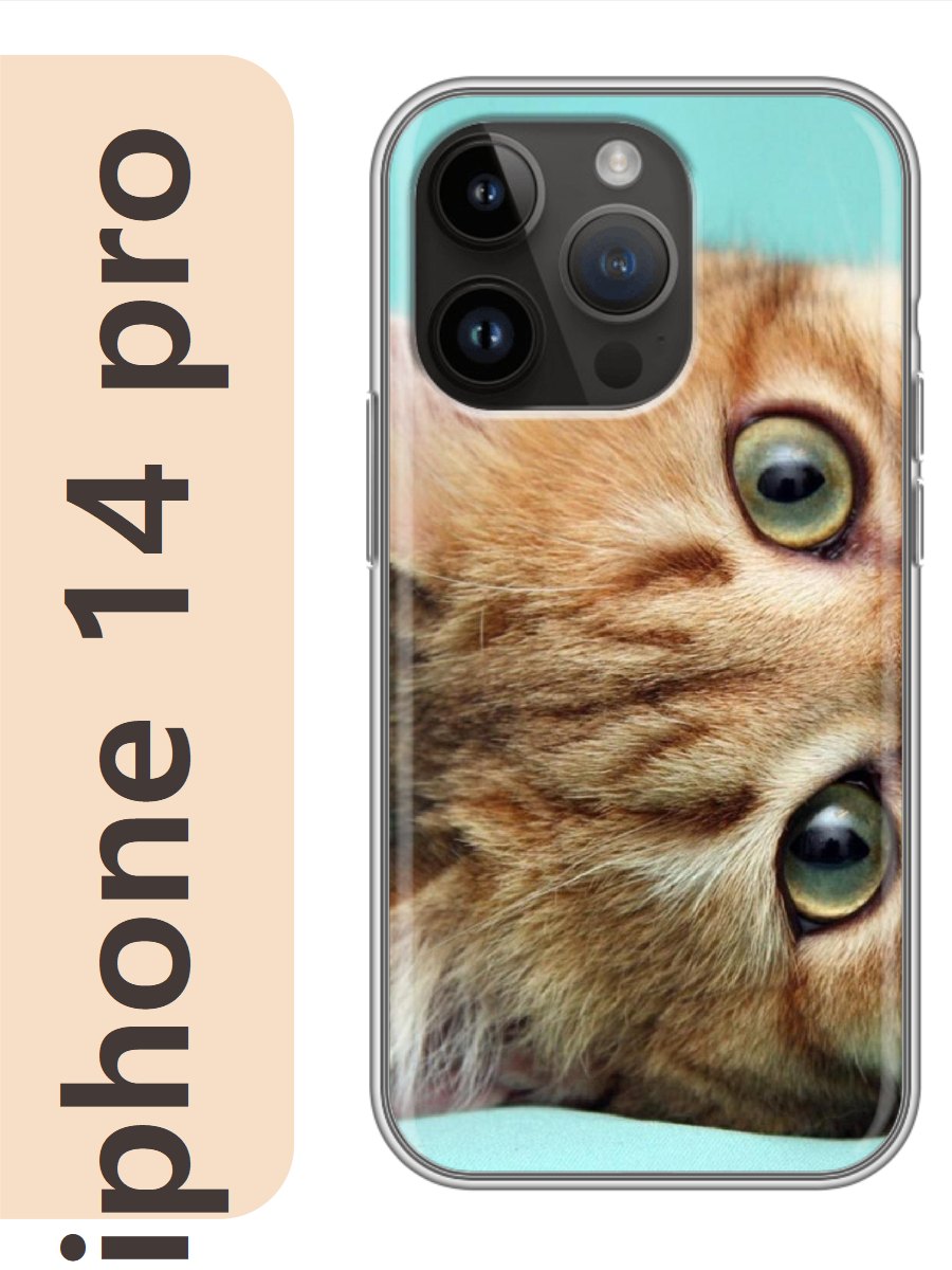 

Чехол на Apple Iphone 14 pro рыжий котенок 799, Iphp14cat2