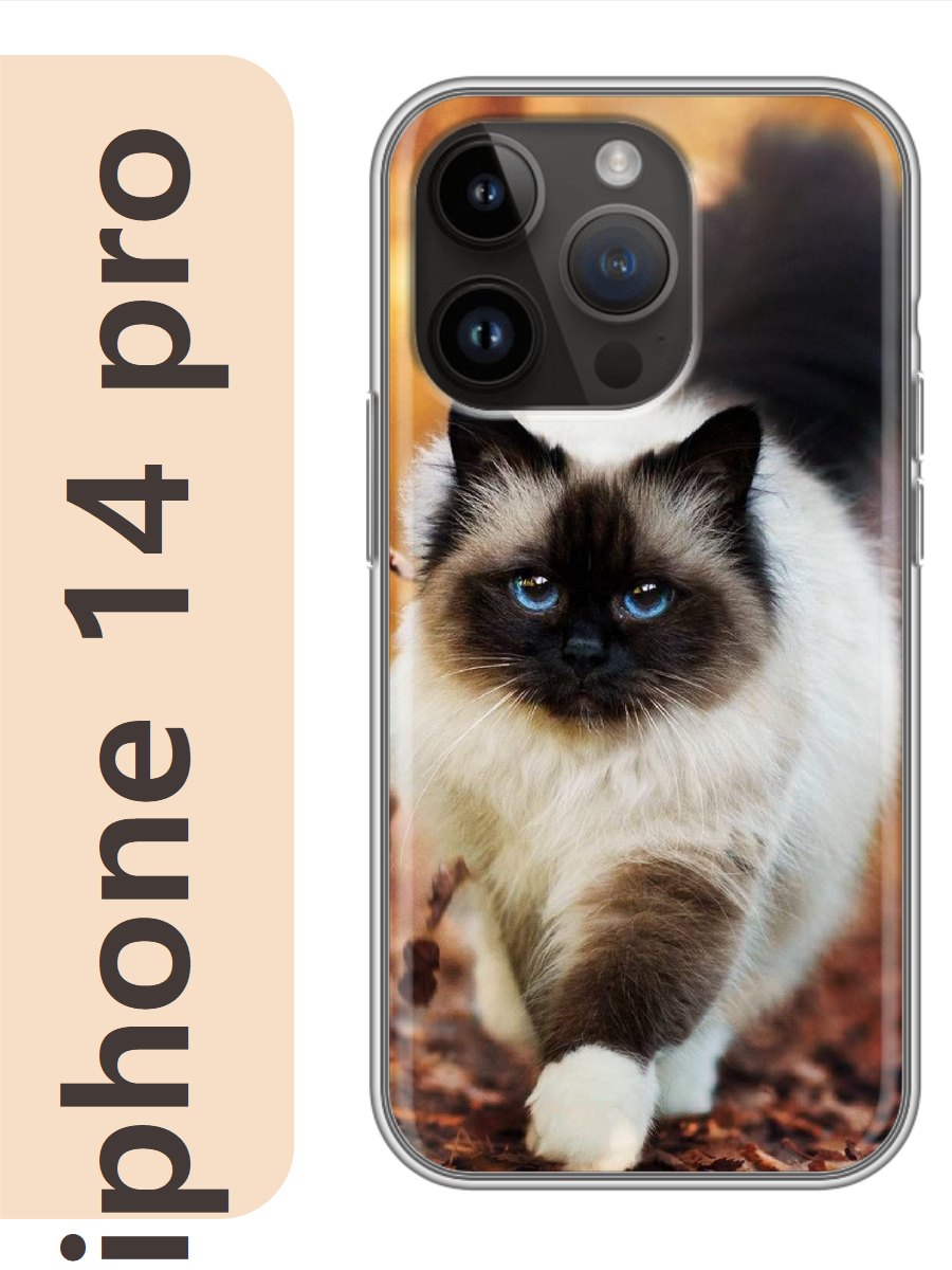 

Чехол на Apple Iphone 14 pro кошка рэгдолл 787, Прозрачный, Iphp14cat2